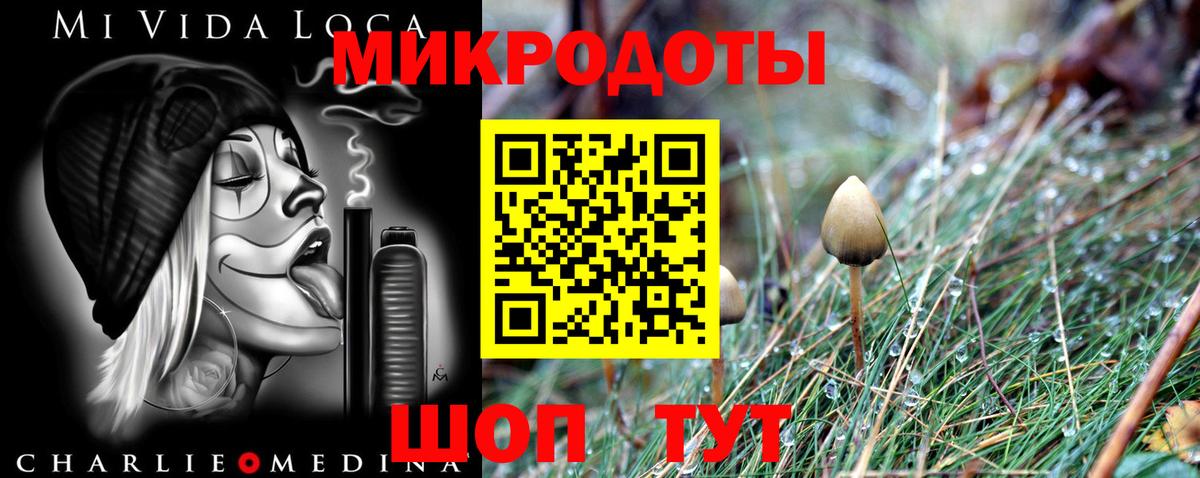 купить   Псилоцибиновые грибы прущие грибы  Вход с VPN  Орск 